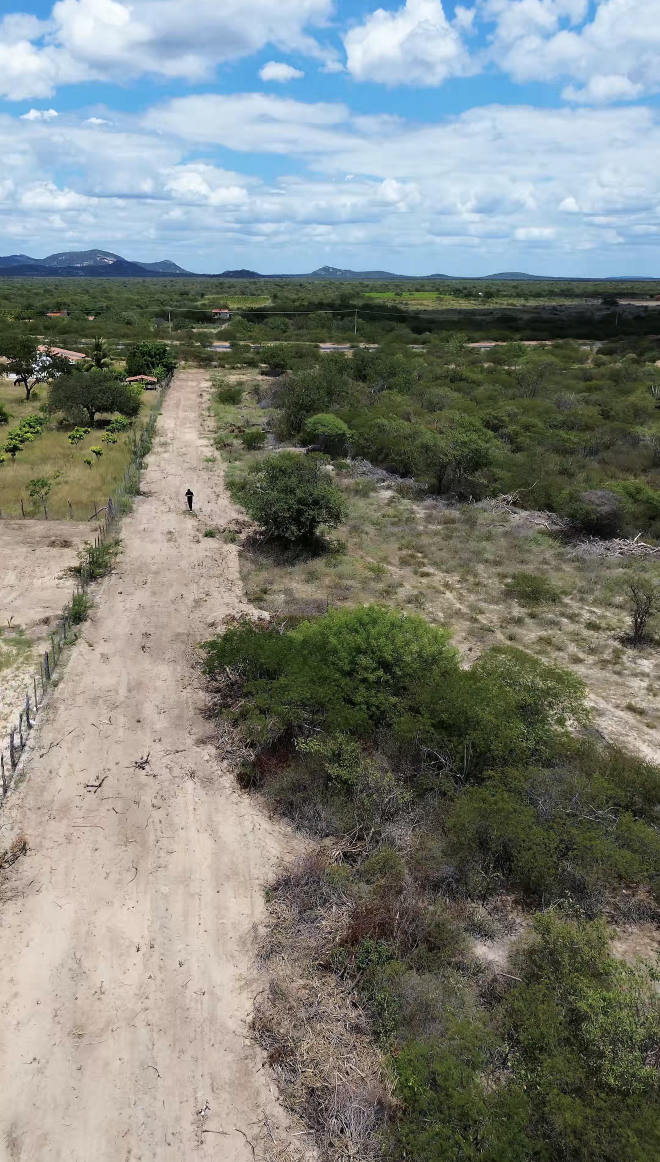 Estrada de acesso interna a uma área rural no Vale do São Francisco